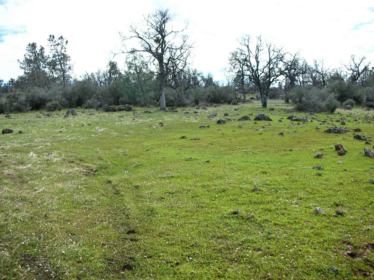 480 acres Oasis Springs Ranch Road - Photo 1