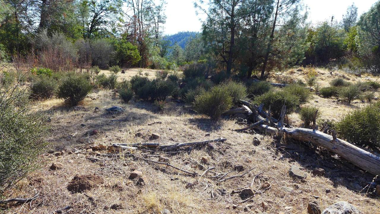 20+- Acres Backbone Rd - Photo 1