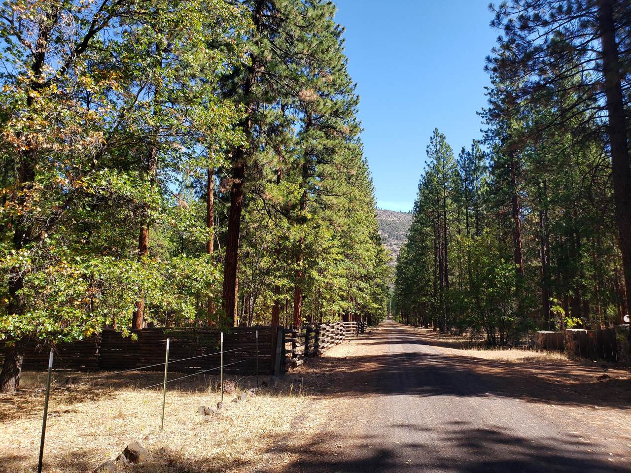 44942 Pine Shadows Rd. - Photo 1