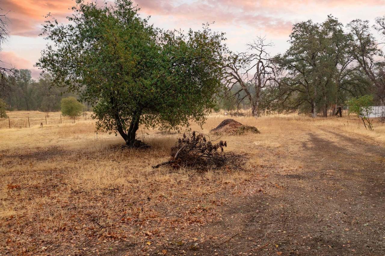 1166 Arizona - Photo 1