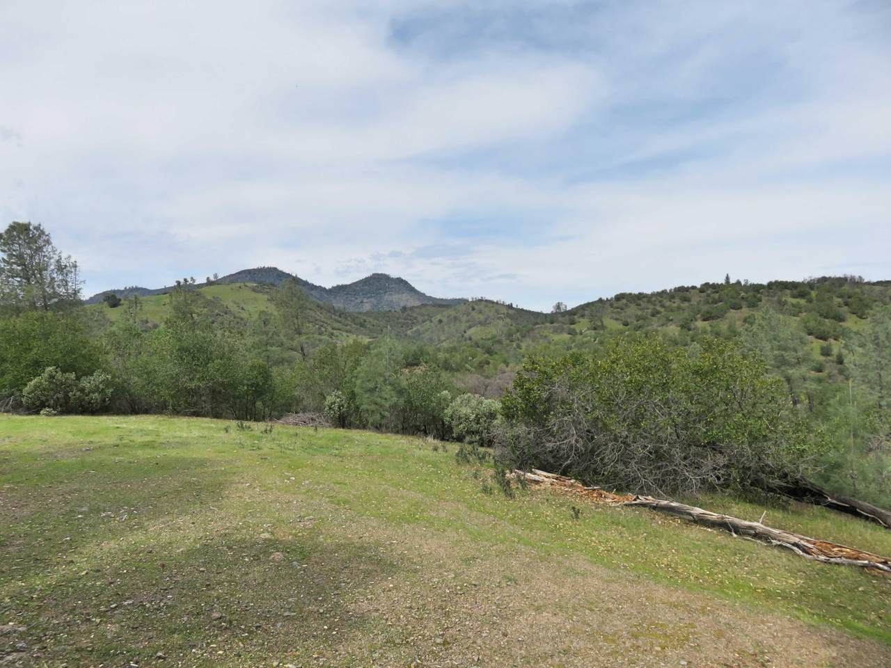 6.2 acres Elk Trail East - Photo 1