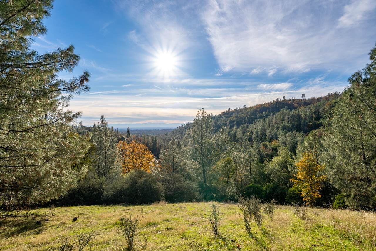 21 Acres Estep Ridge Rd - Photo 1