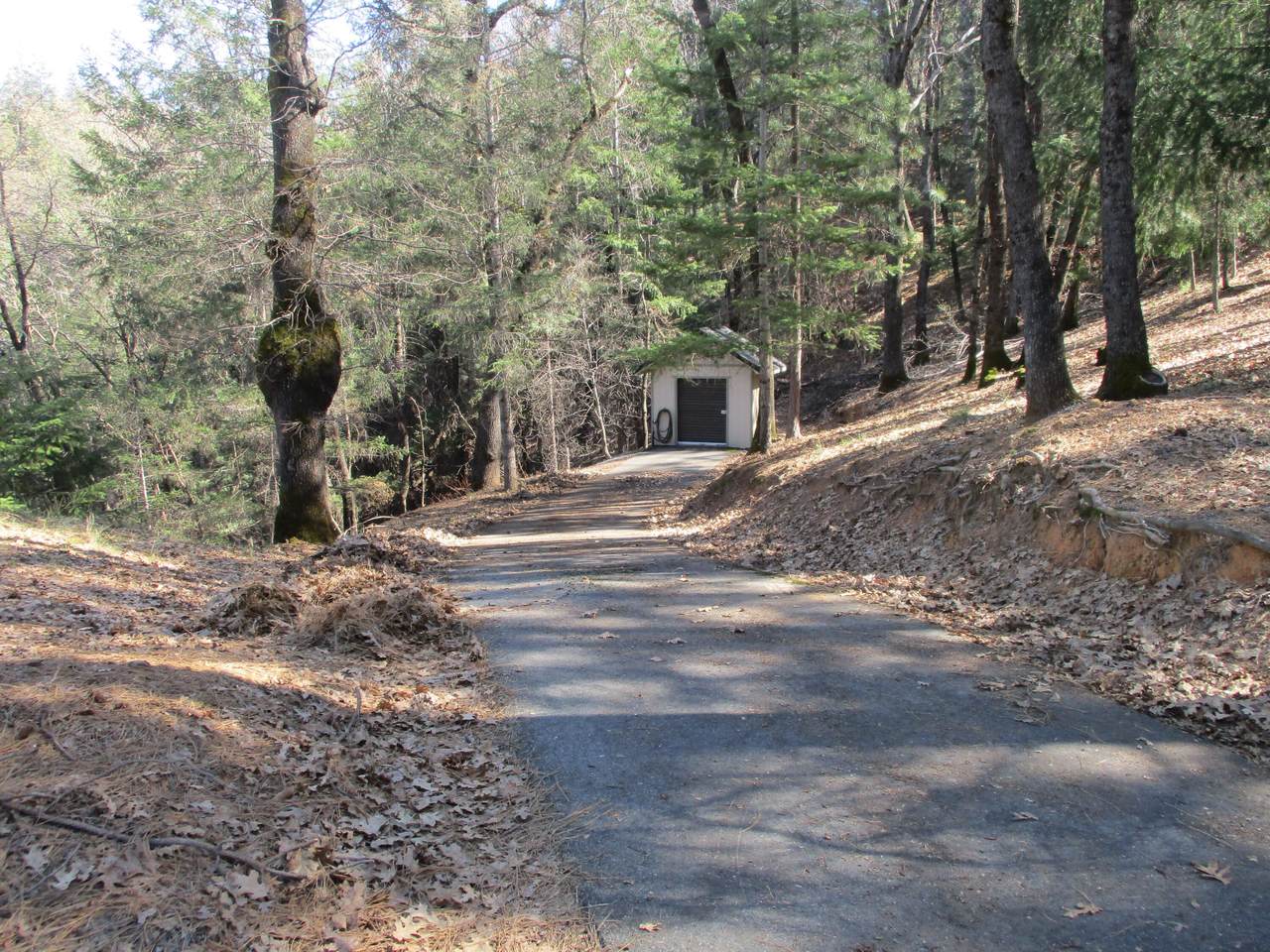 https://bt-photos.global.ssl.fastly.net/shasta/1280_boomver_1_22-1015-2.jpg
