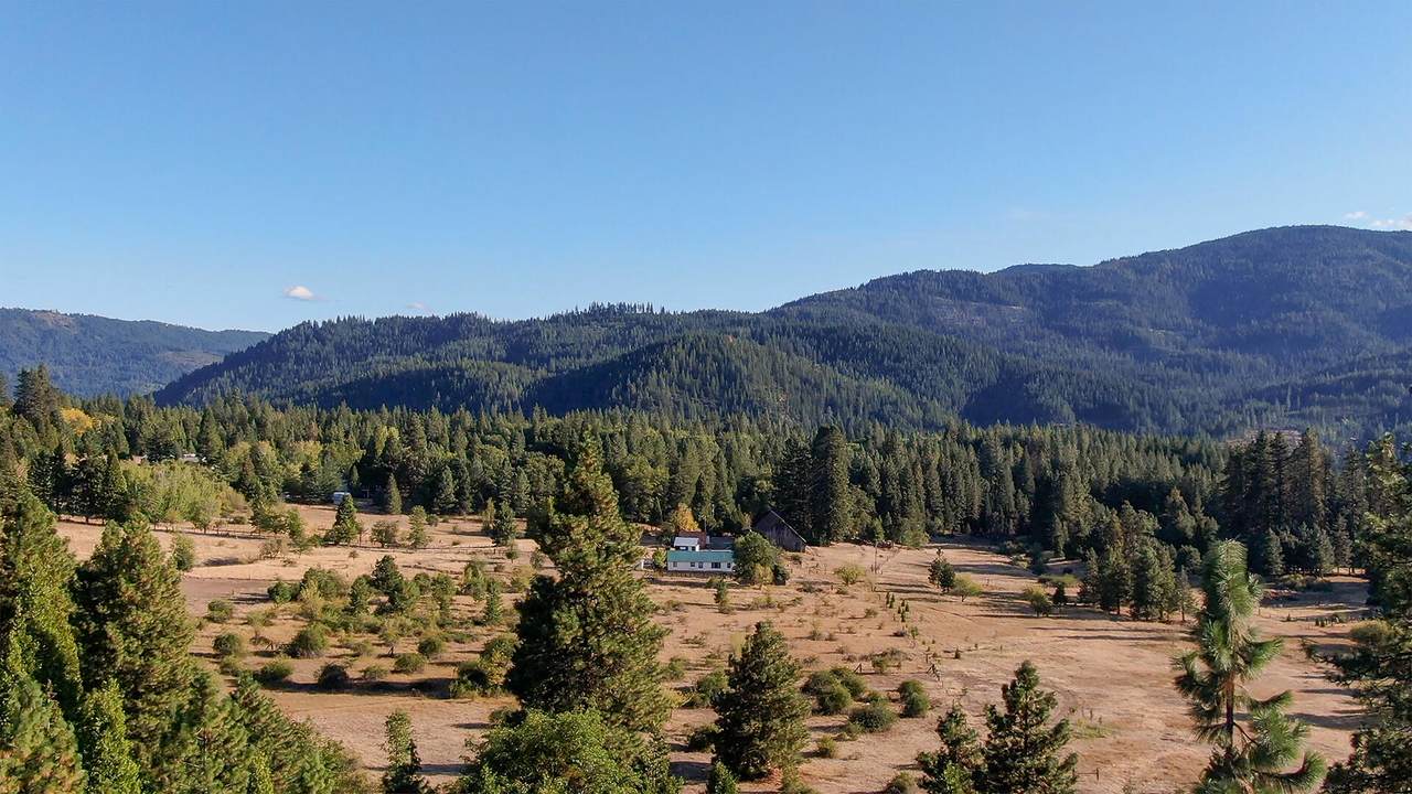 Cayuse Meadows Lane - Photo 1
