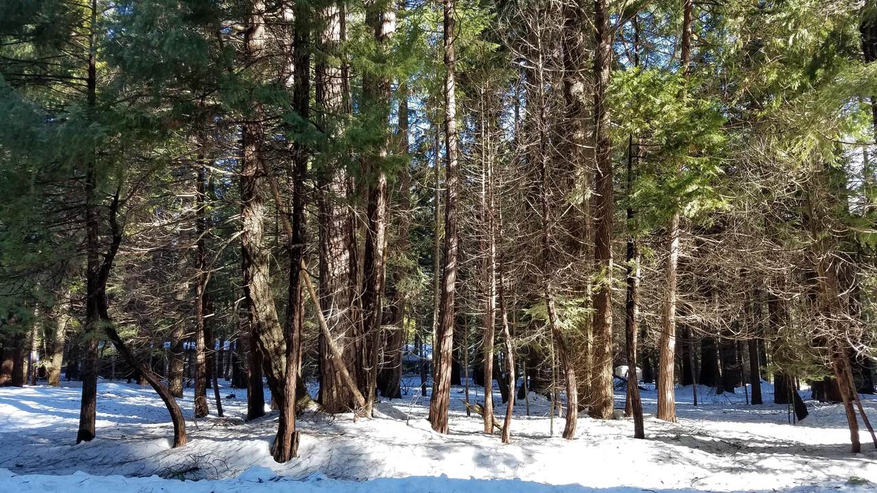 Lot 30 Bethany Way - Photo 1