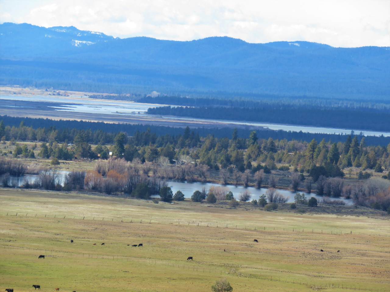 oooo State Hwy 299 - Photo 1