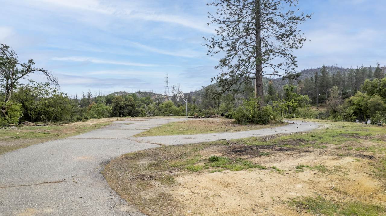 11103 Edwin Dr - Photo 1