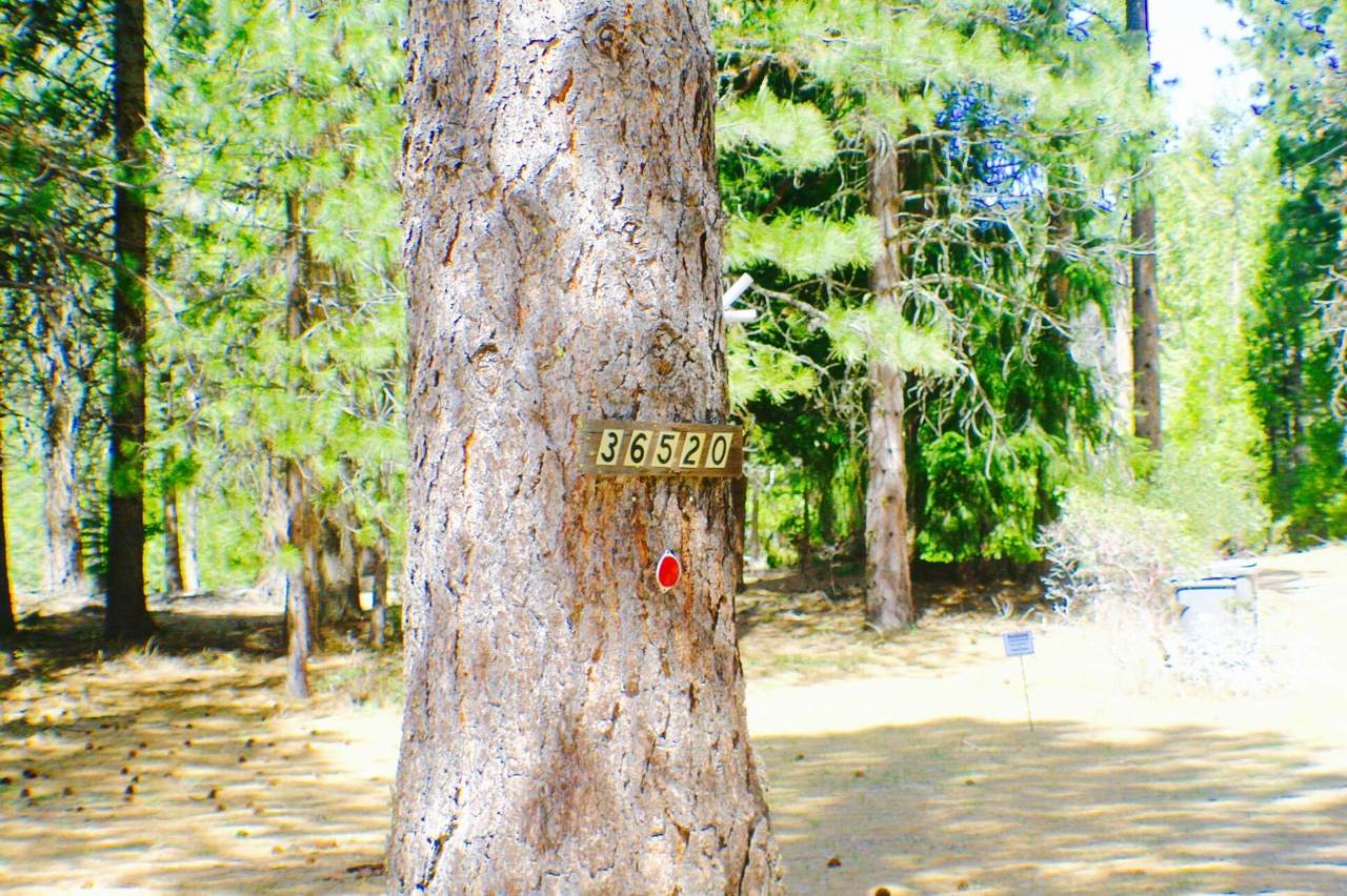36520 Deer Flat Rd - Photo 1