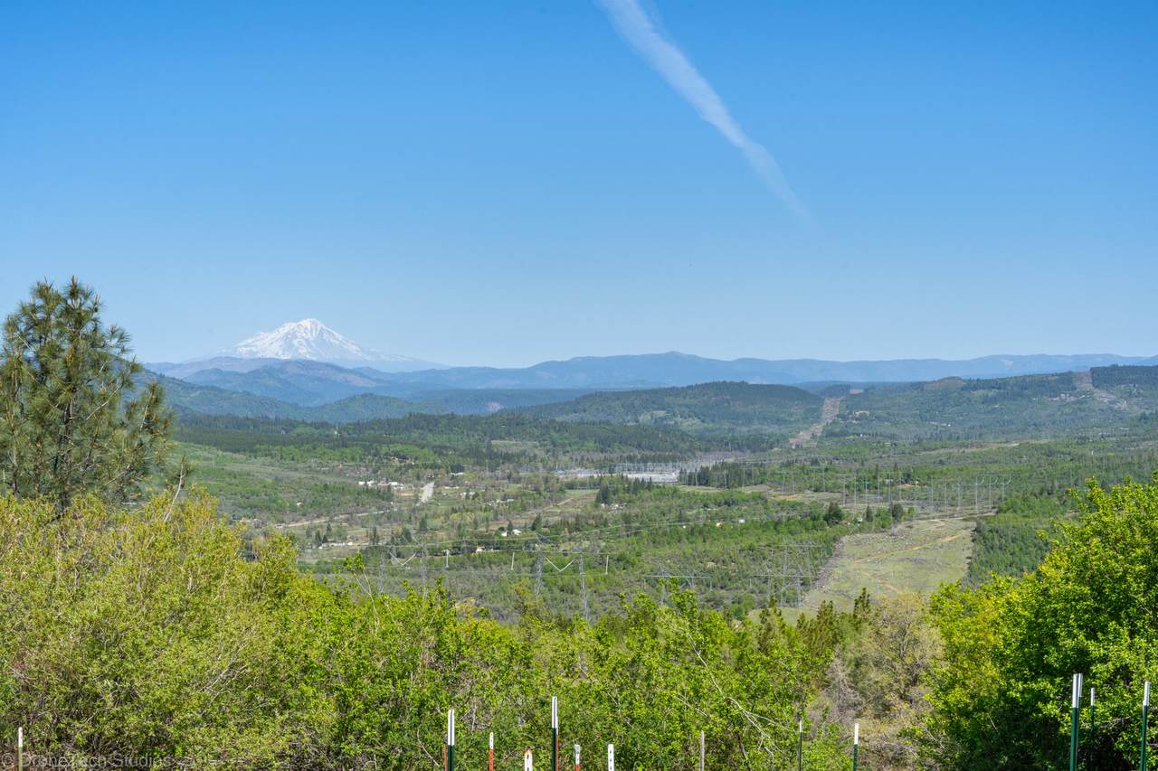 320 Acres Melton Rd - Photo 1