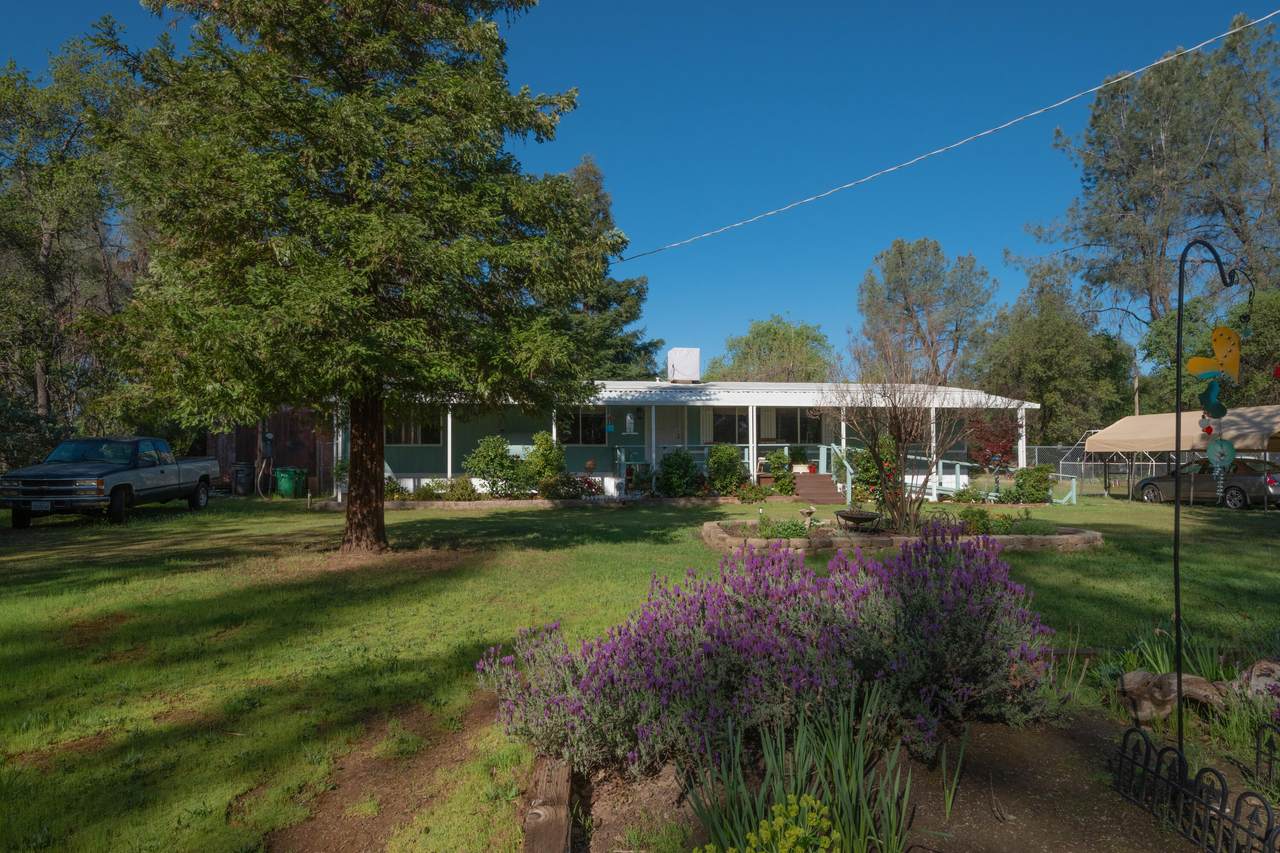 6388 Debra Ln - Photo 1