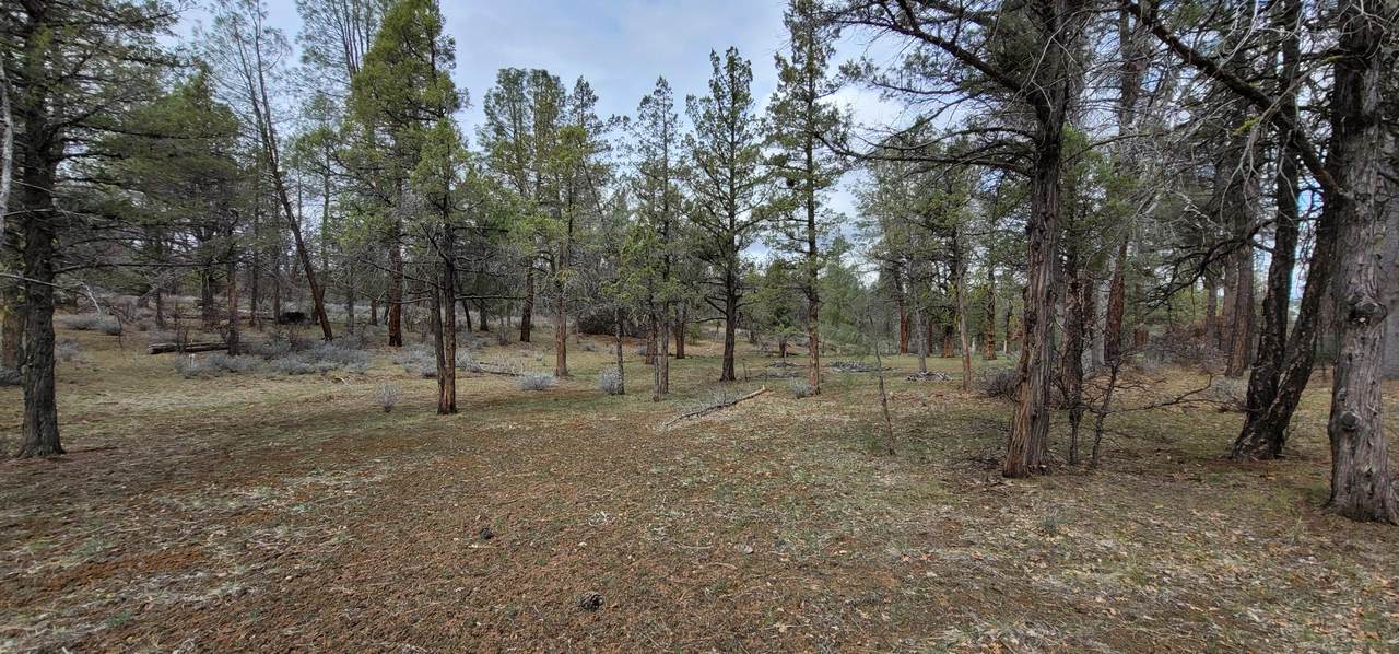 Lot 40 Shoshoni Loop - Photo 1