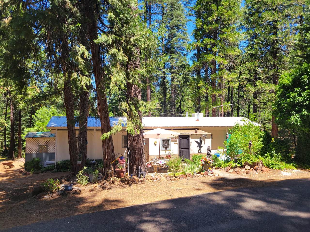 30592 Shingletown Ridge Rd - Photo 1