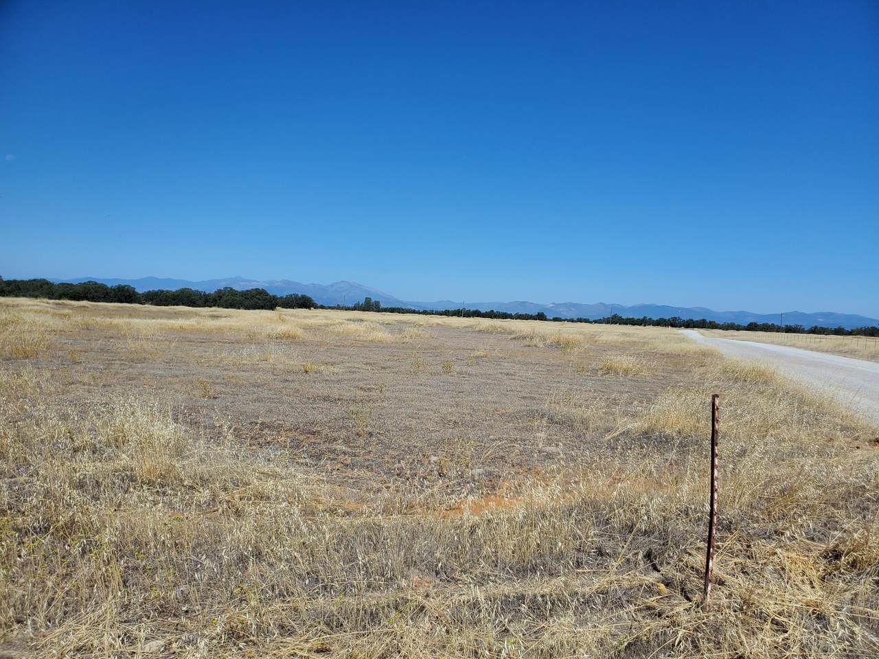 Antler Rd - Photo 1