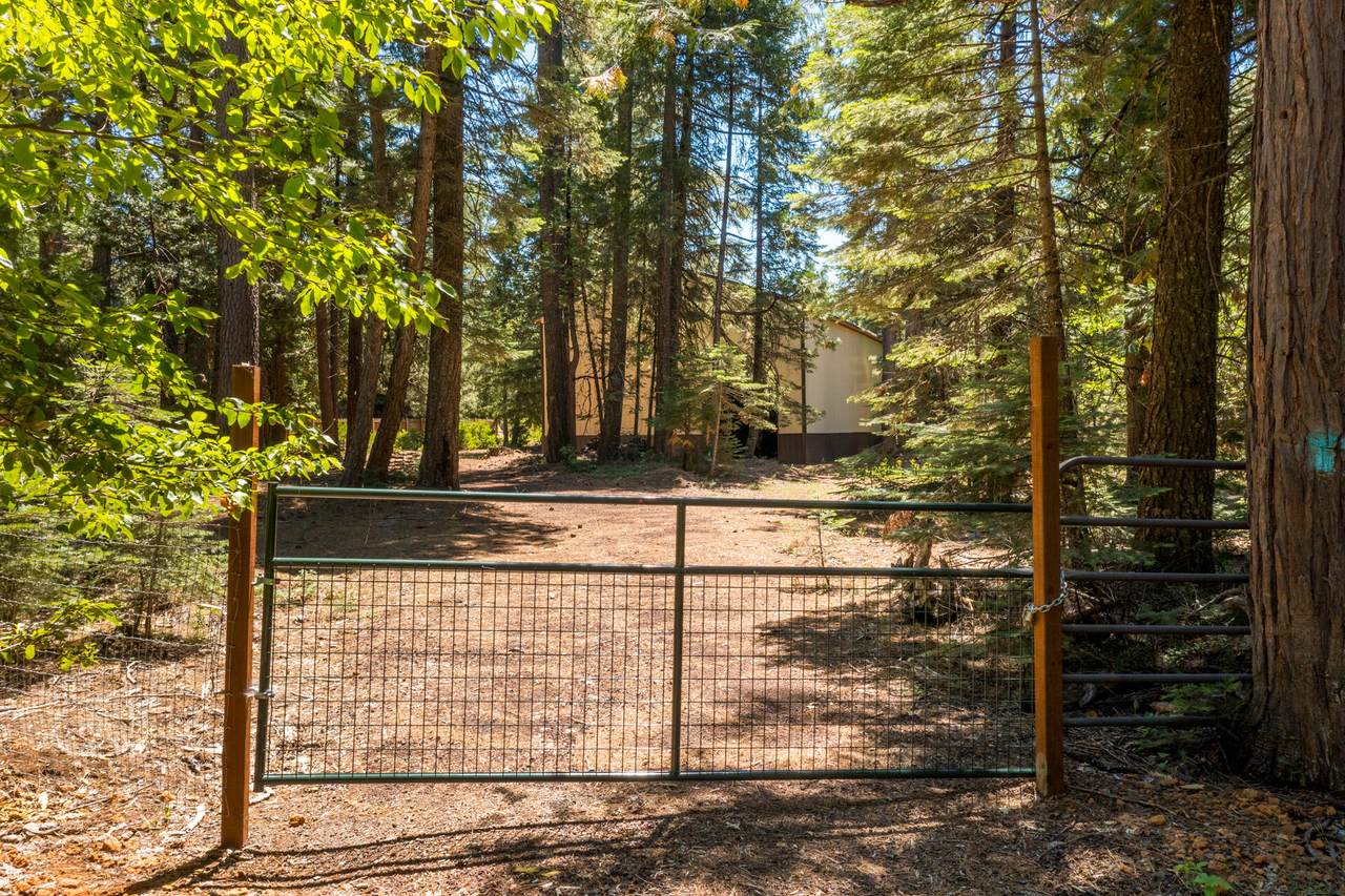 32995 Alinn Pass Rd - Photo 1