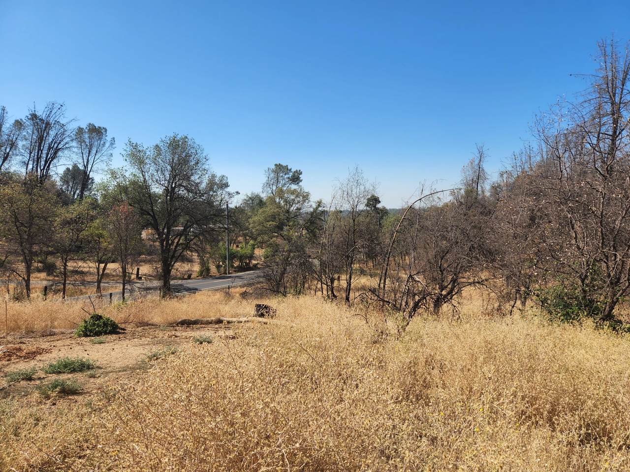 19937 Little Acres Ln - Photo 1