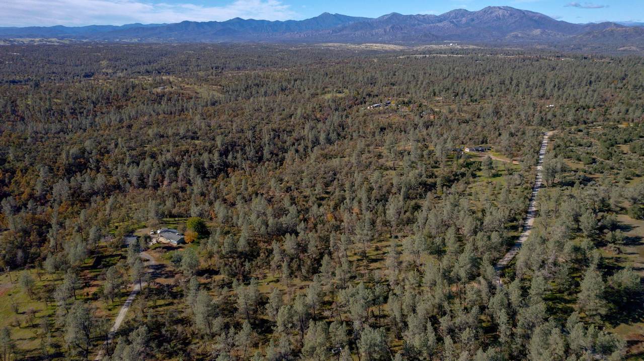 40 Acres Heavenly Valley Ln - Photo 1