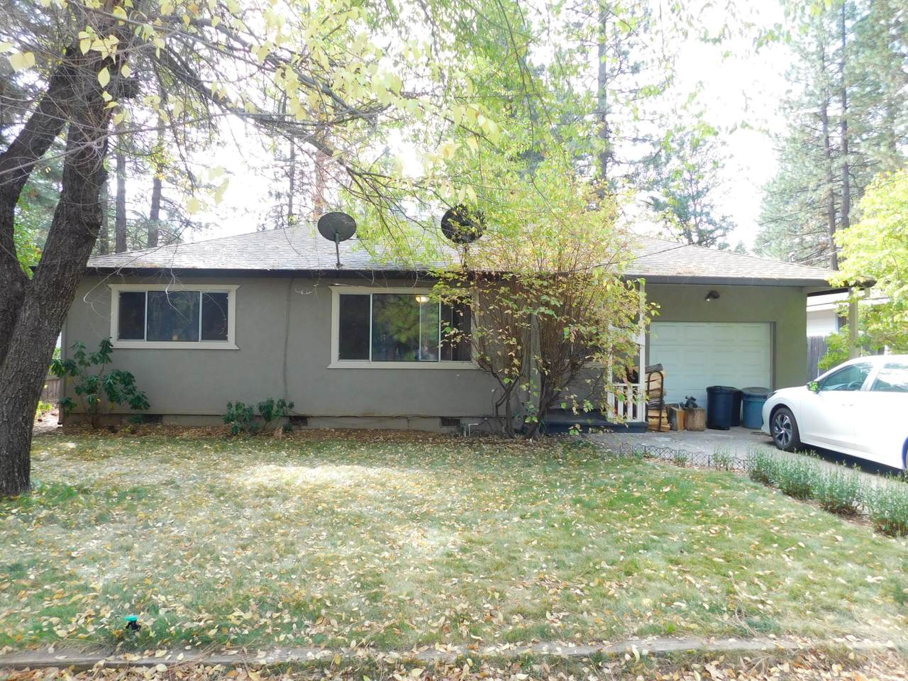37409 Ash Ave - Photo 1