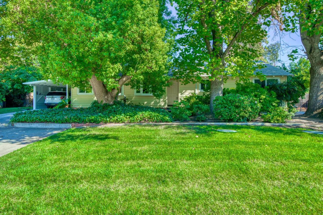 3025 Irene Street - Photo 1
