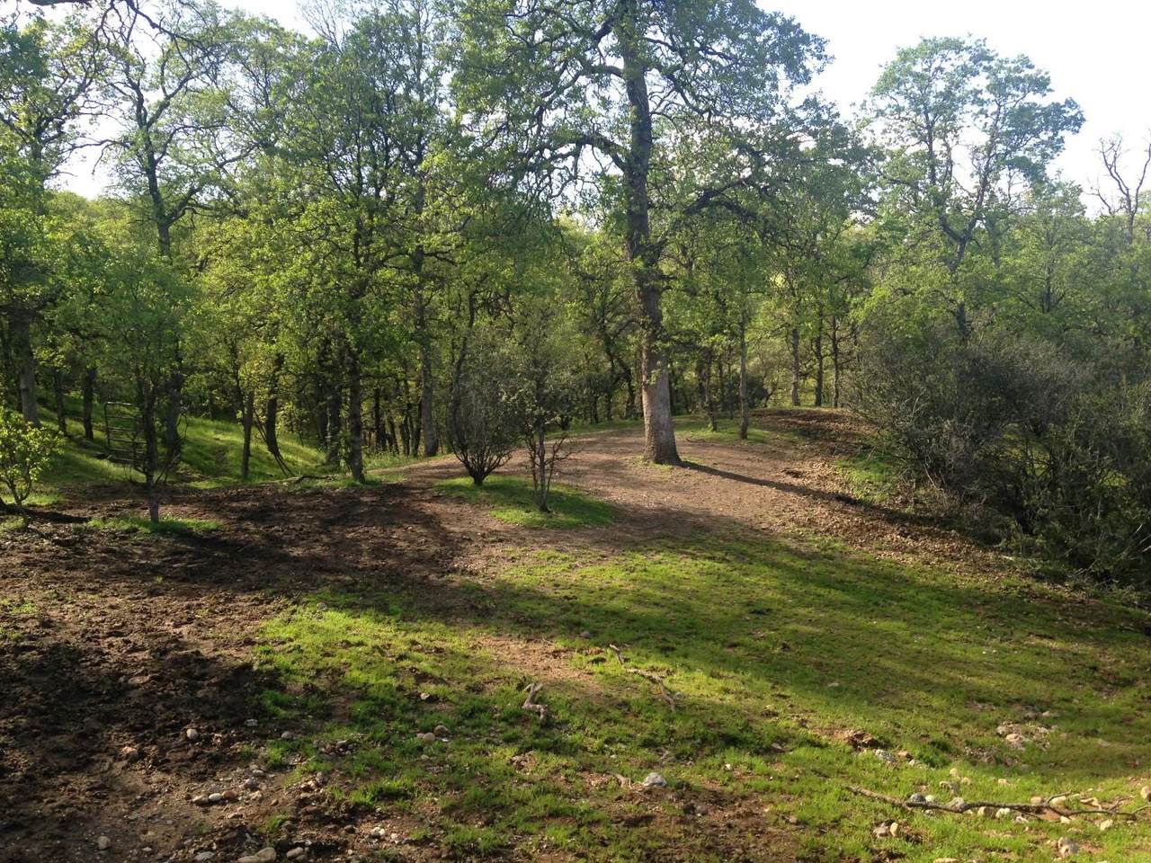 000 Saddleback Ridge Lp - Photo 1