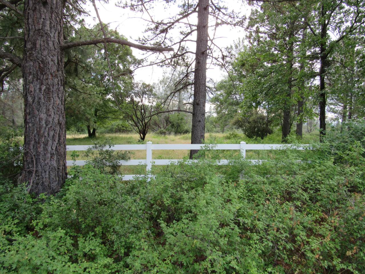 Lot 8 Black Butte Rd. - Photo 1