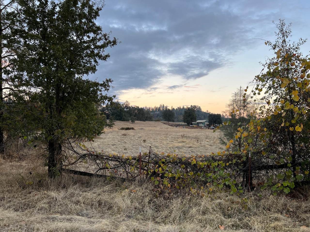 Holiday Rd - Photo 1