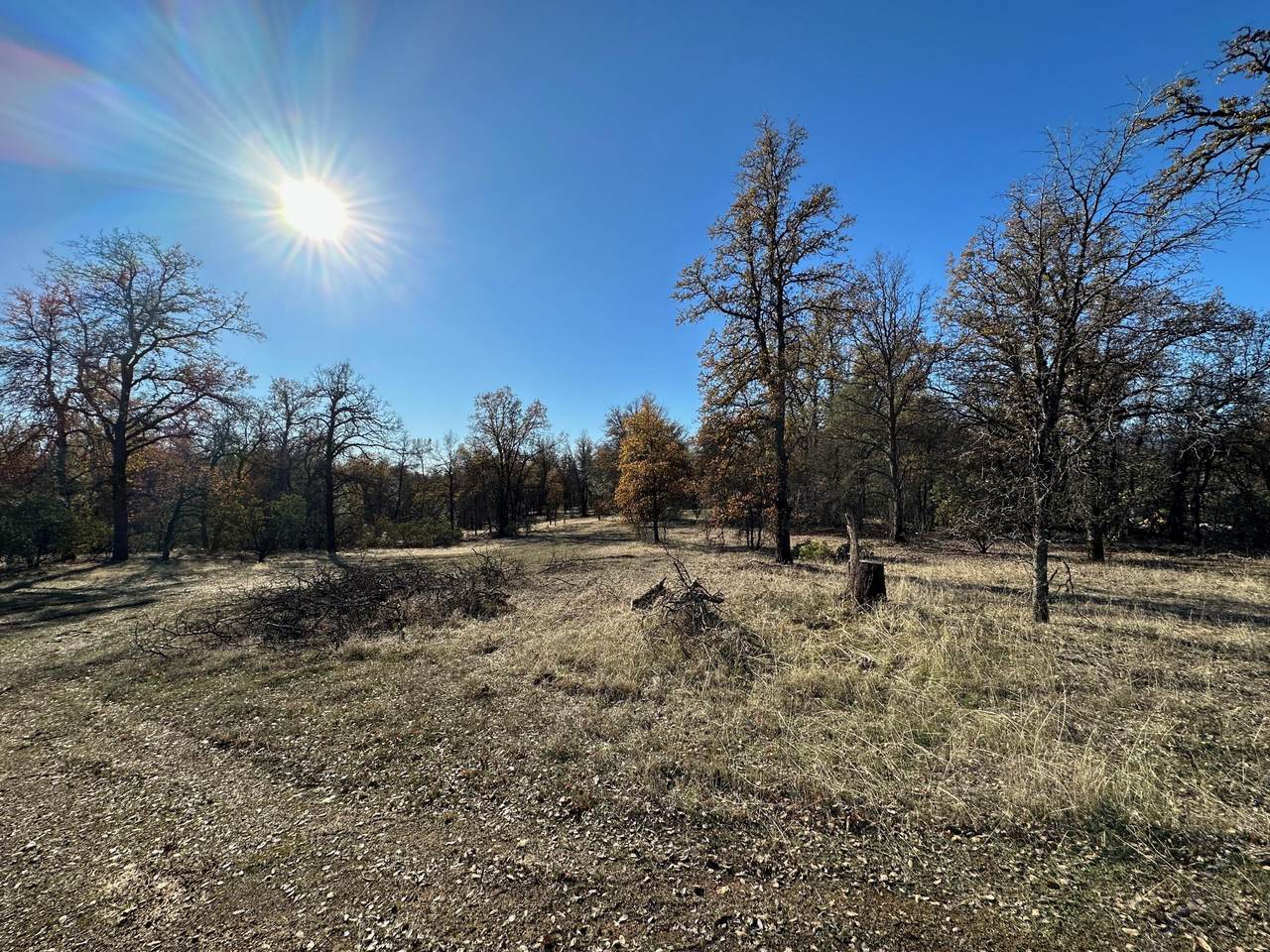 1355 Crooked Oak Ln. - Photo 1
