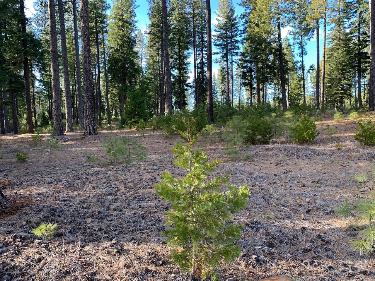 Lot #22 Broomsedge Pl - Photo 1