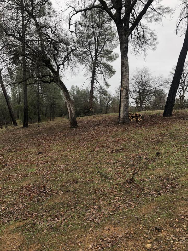 12680 Akrich St - Photo 1