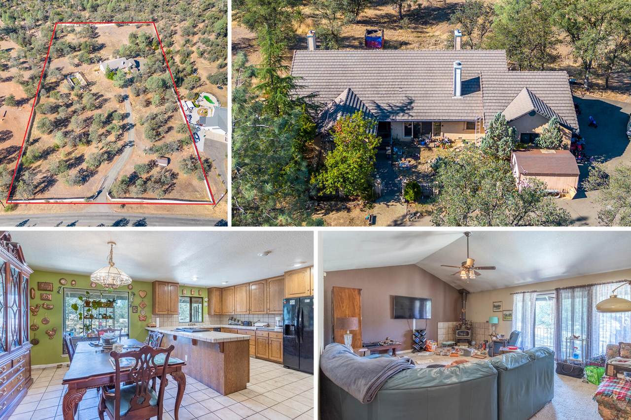 10202 Road Runner Way - Photo 1