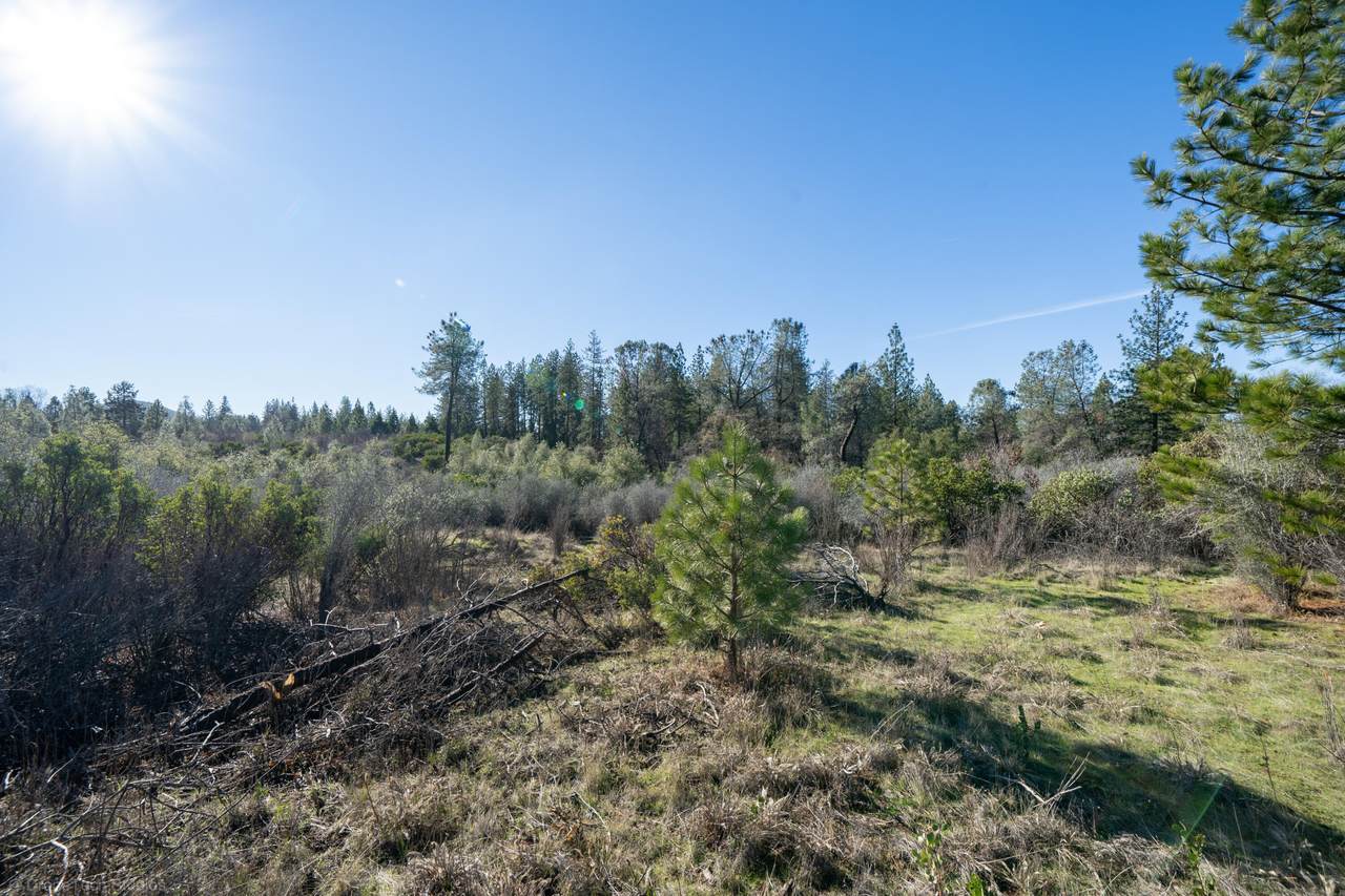 Lot #4 Crater Dr - Photo 1