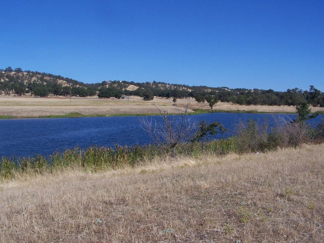 https://bt-photos.global.ssl.fastly.net/shasta/1280_boomver_1_23-3287-2.jpg