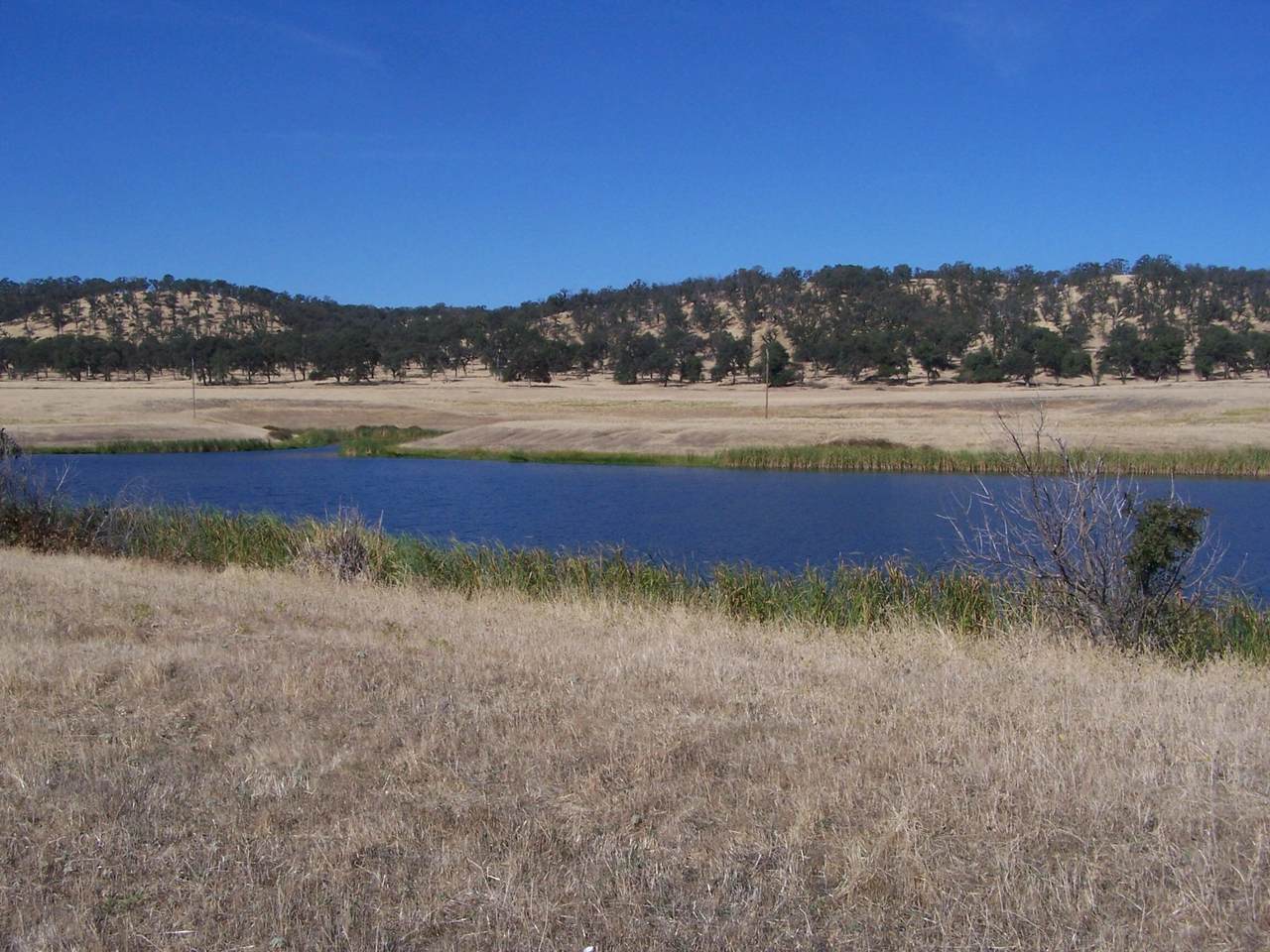 https://bt-photos.global.ssl.fastly.net/shasta/1280_boomver_1_23-3287-2.jpg