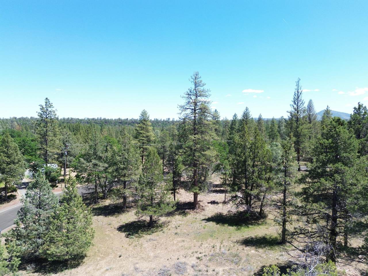https://bt-photos.global.ssl.fastly.net/shasta/1280_boomver_1_24-2746-2.jpg
