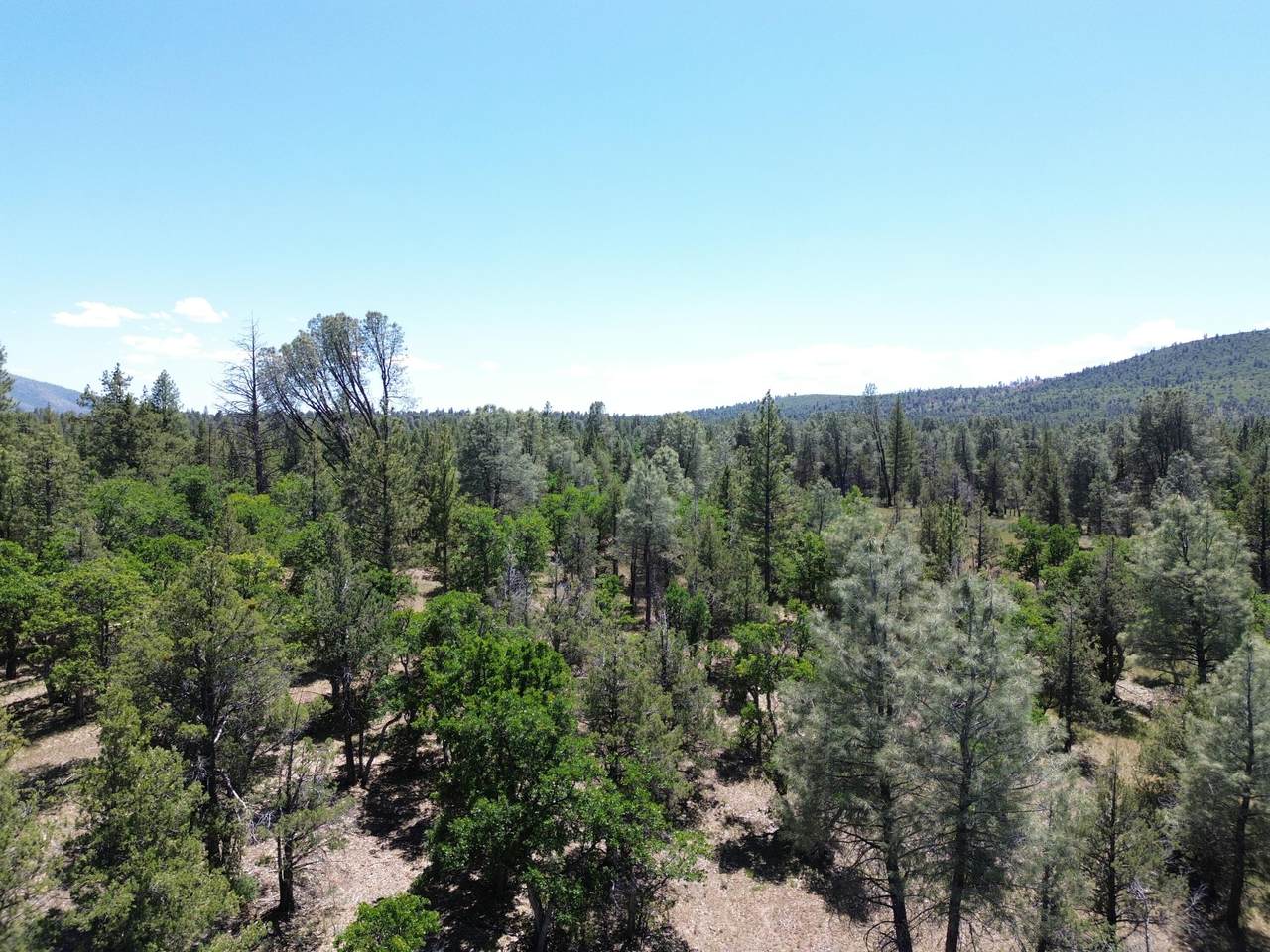 https://bt-photos.global.ssl.fastly.net/shasta/1280_boomver_1_24-2746-2.jpg