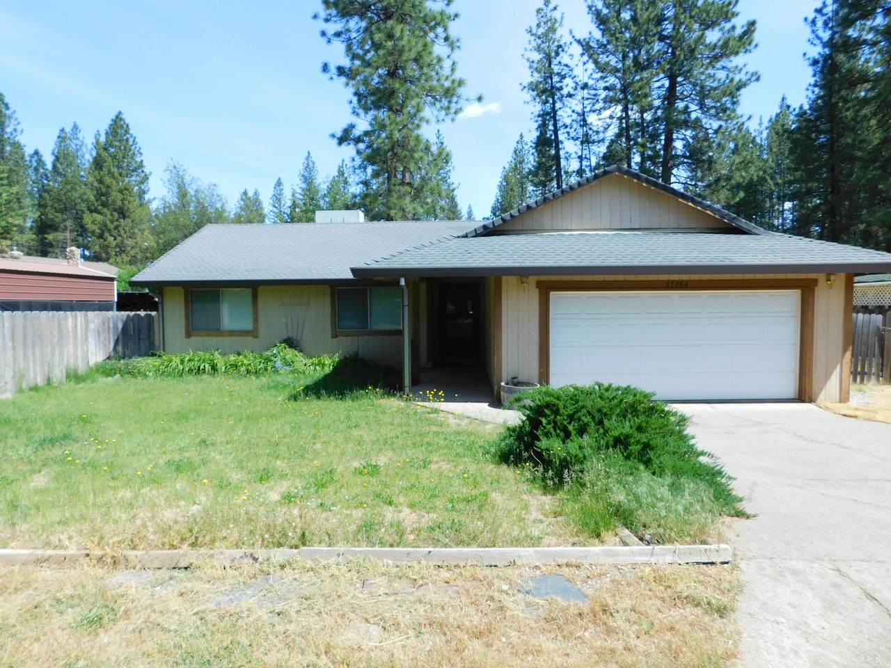 37384 Bailey Avenue - Photo 1