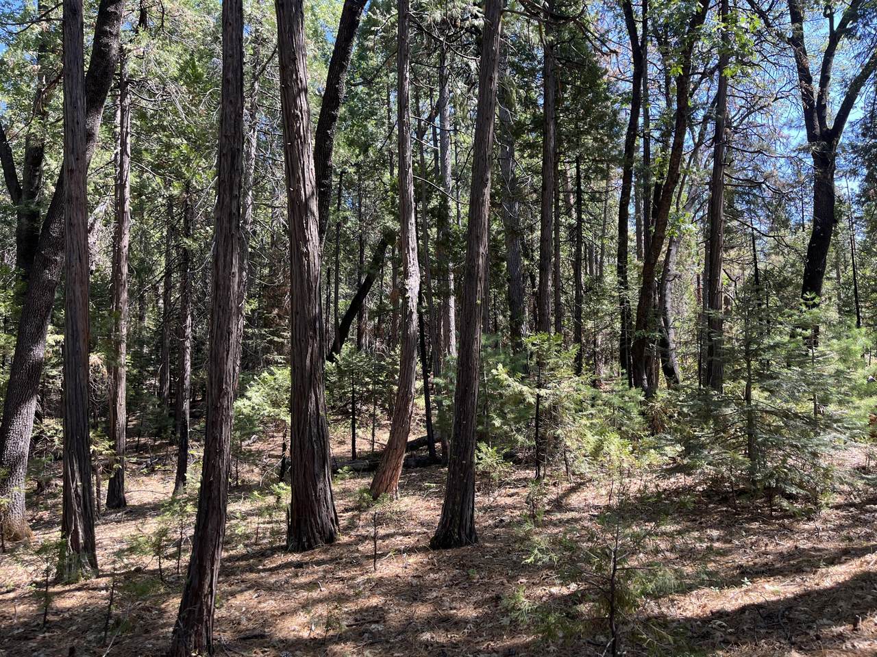 Lot 14 One Hundred Rd - Photo 1