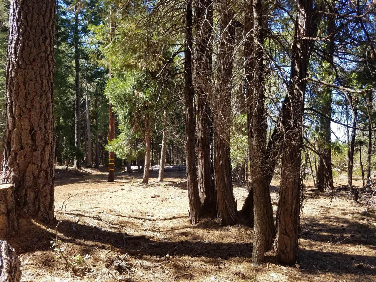 https://bt-photos.global.ssl.fastly.net/shasta/1280_boomver_1_24-4015-2.jpg