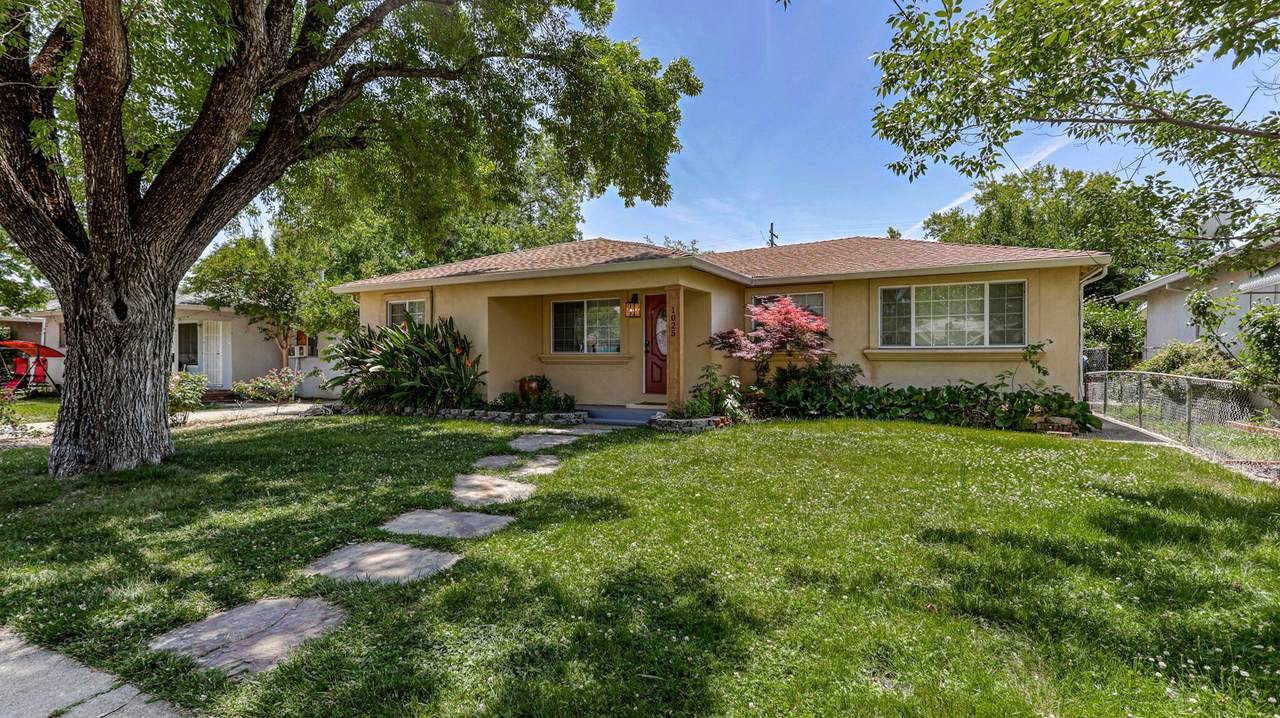 1025 Gold Street - Photo 1