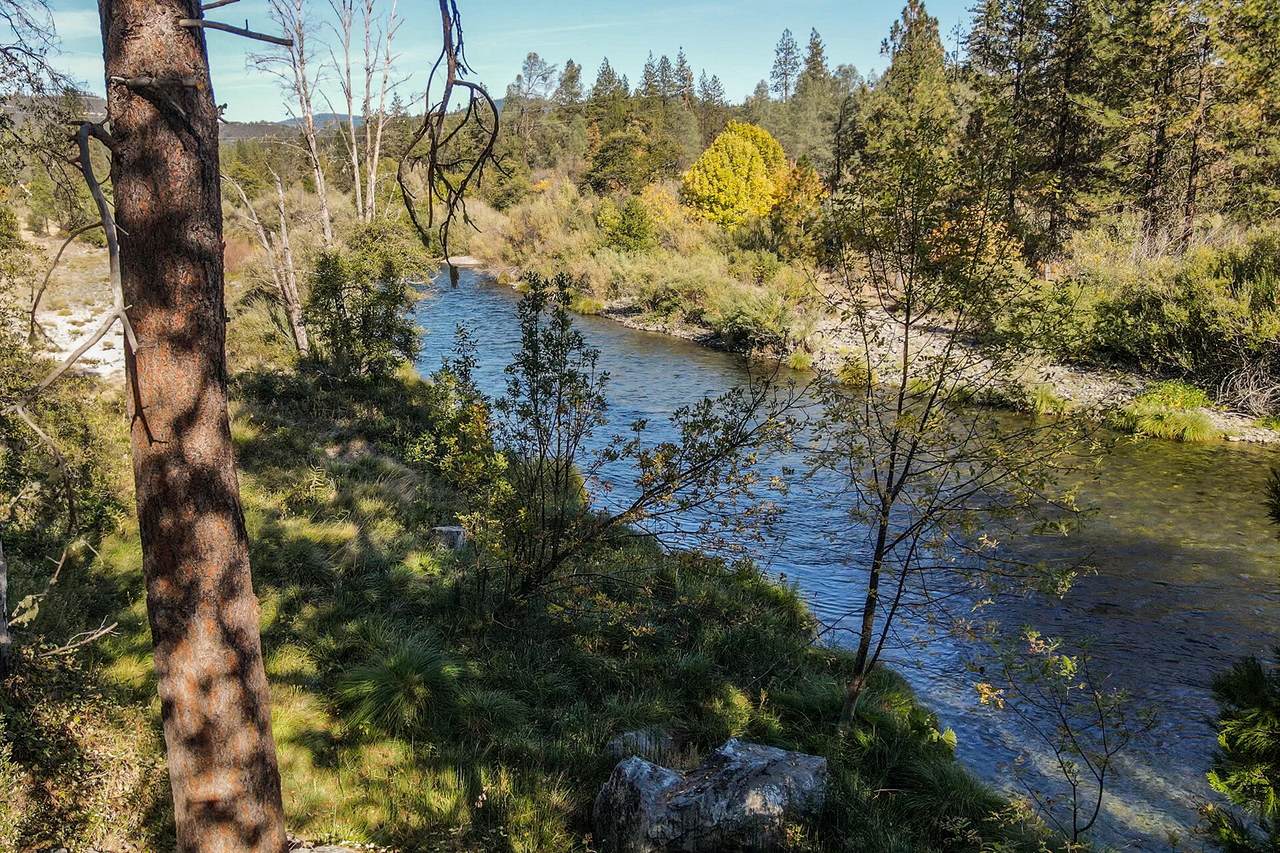 6686 Browns Mountain Road - Photo 1