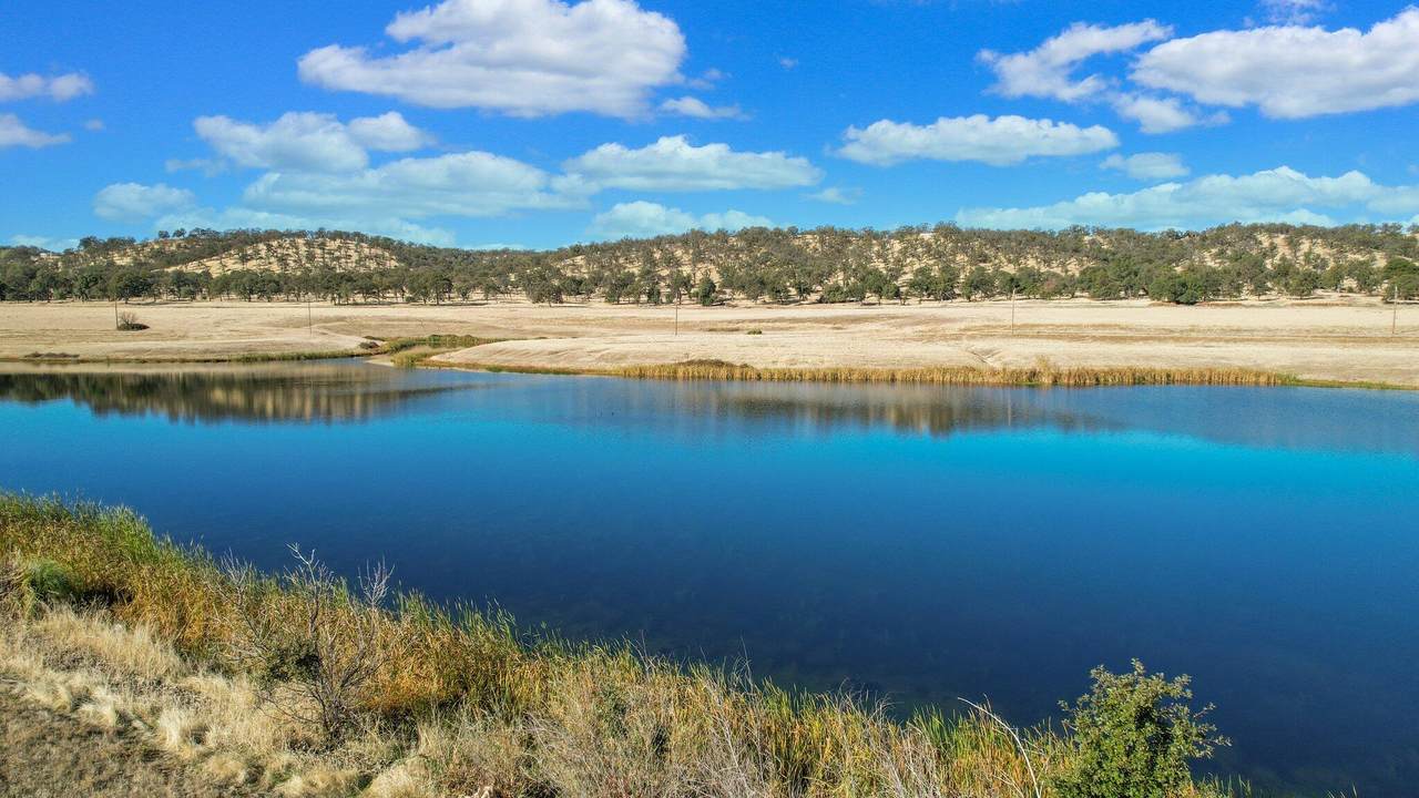 https://bt-photos.global.ssl.fastly.net/shasta/1280_boomver_1_24-4779-2.jpg
