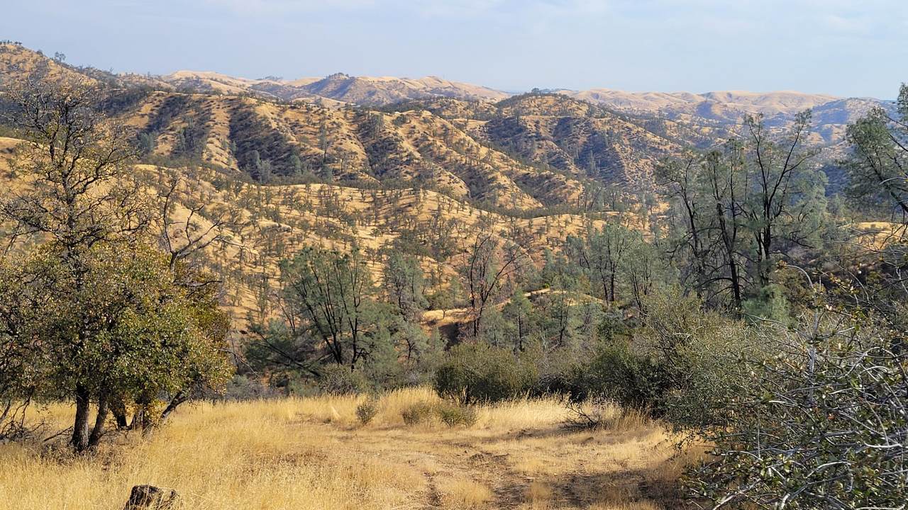 Lot 234 Tolowa Road - Photo 1