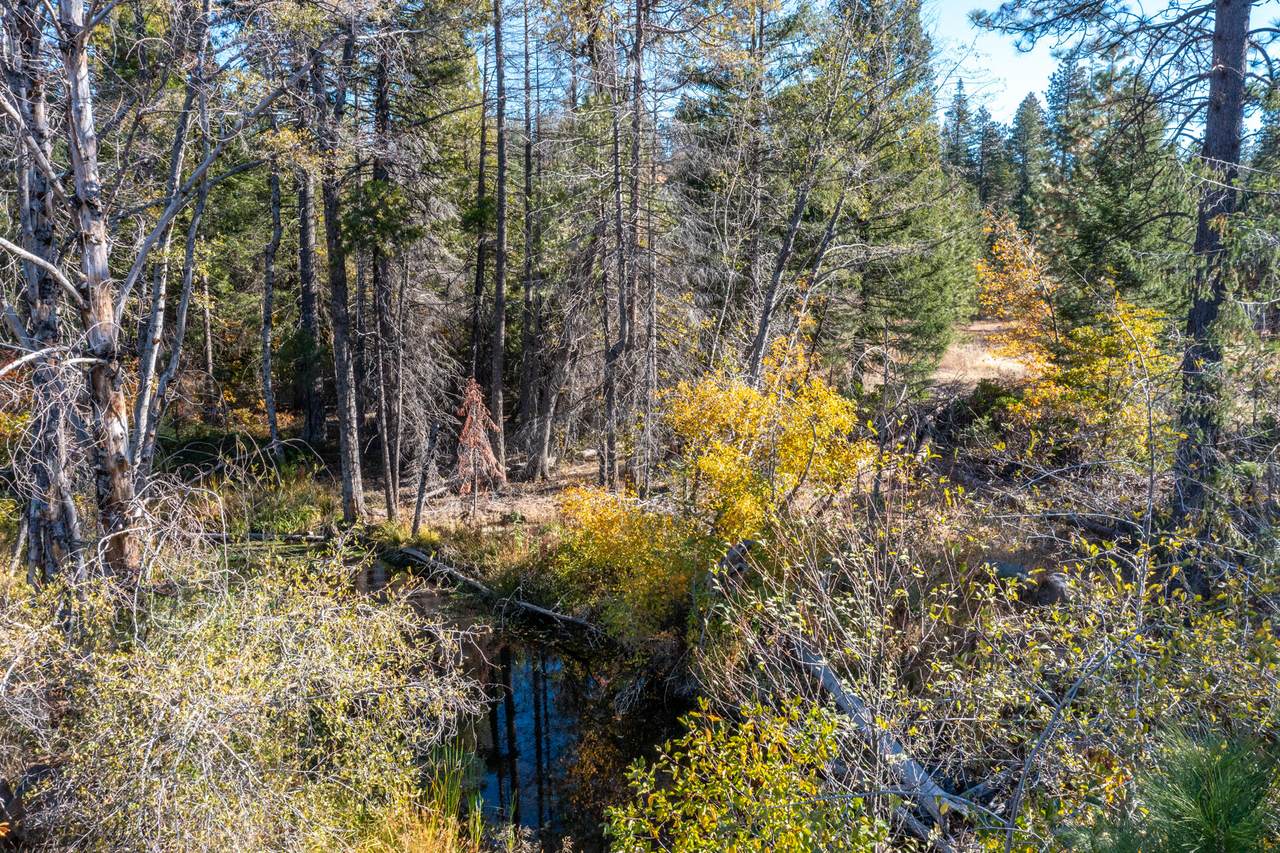 https://bt-photos.global.ssl.fastly.net/shasta/1280_boomver_1_24-4883-2.jpg