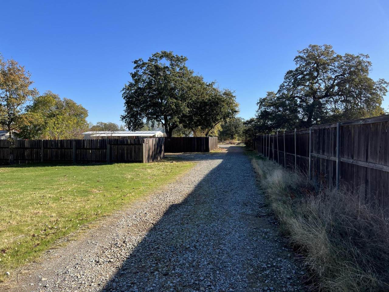 725 Shamrock Street - Photo 1