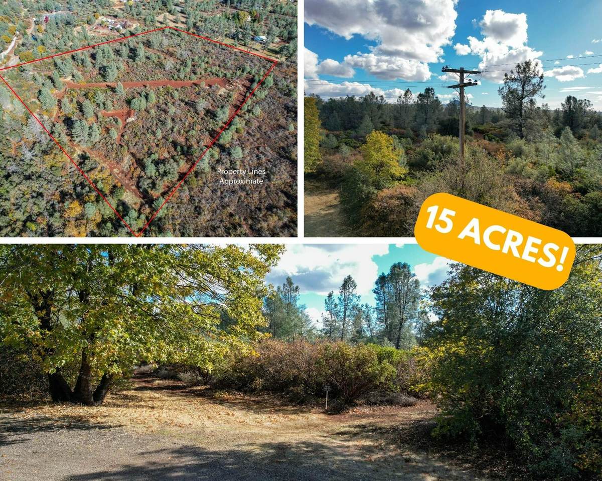 14.94 Acres Colley Lane - Photo 1
