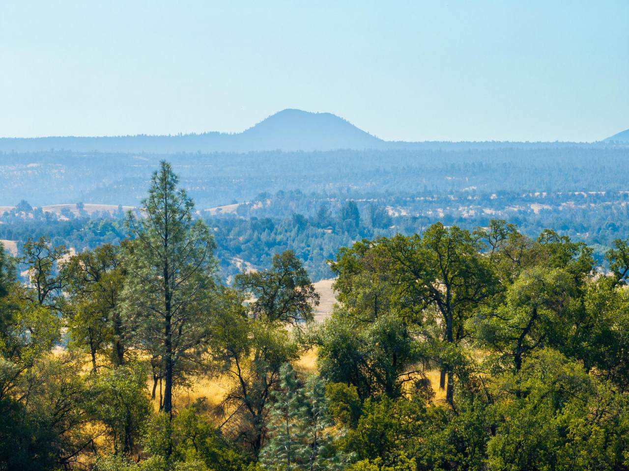 https://bt-photos.global.ssl.fastly.net/shasta/1280_boomver_2_25-1572-2.jpg