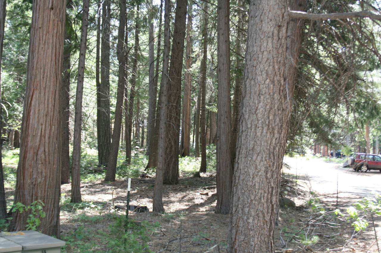 Lot 61 Starlite Pines Rd - Photo 1