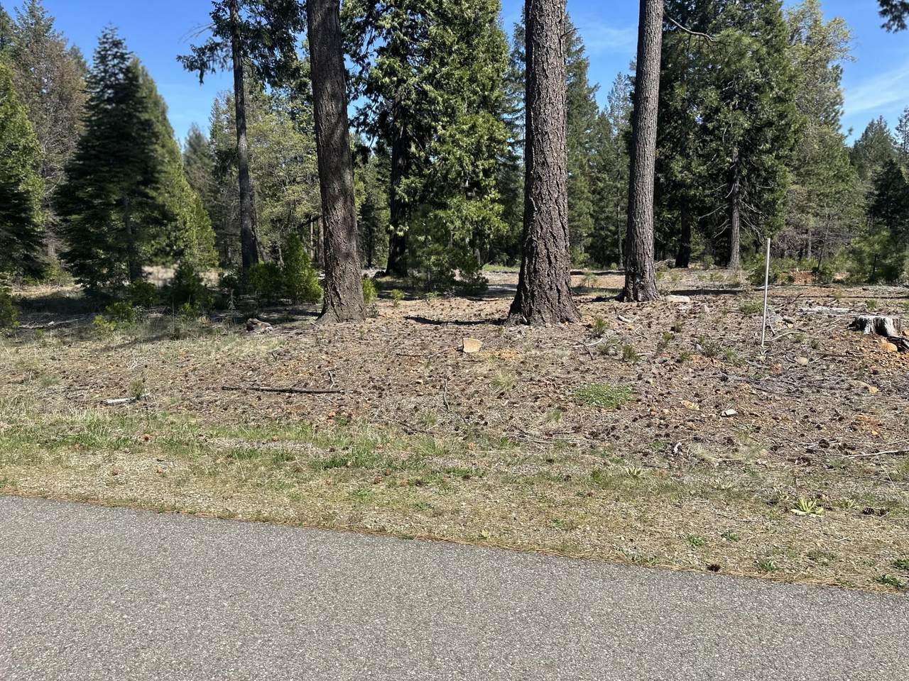 Lot 9 Princess Pine Place - Photo 1