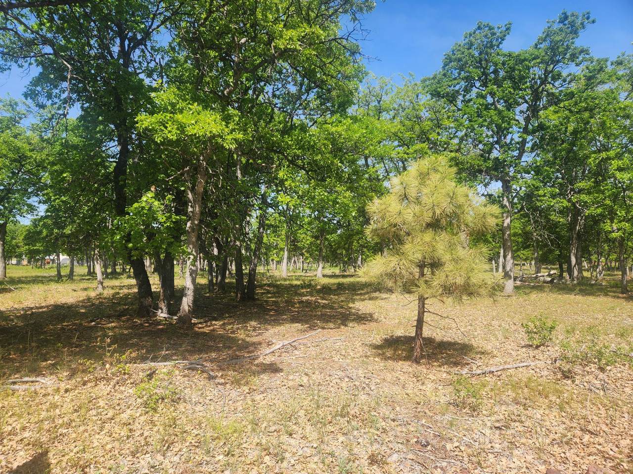 4552-525 James Drive - Photo 1