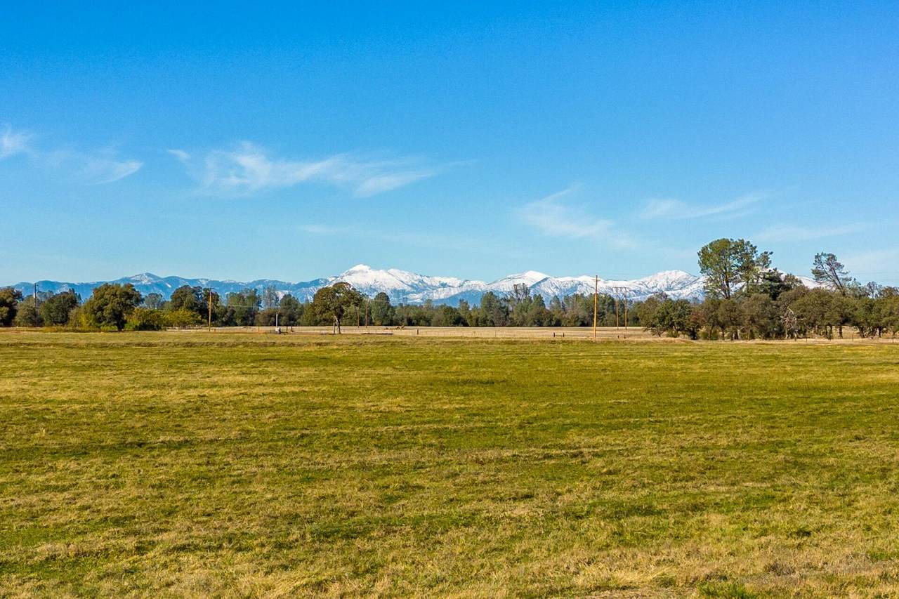  Sleeping Bull Drive - Photo 1