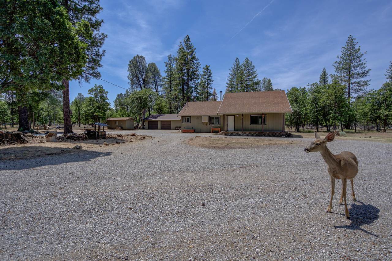 21652 Rattlebush Drive - Photo 1